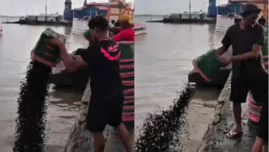 Photo of Por que vendedores jogaram açaí no rio em Belém? Entenda o motivo do descarte