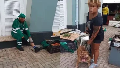 Photo of Gari é atacado por pitbull no Ver-o-Peso, em Belém
