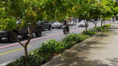 Photo of Belém implanta jardins de chuva para reduzir alagamentos em áreas críticas