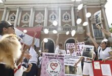 Photo of Manifestação pede justiça pelo cão “Orelha” na Praça da República, em Belém