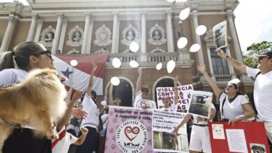 Photo of Manifestação pede justiça pelo cão “Orelha” na Praça da República, em Belém