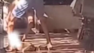 Photo of Homem é preso por enforcar cadela em Salvaterra, no Marajó