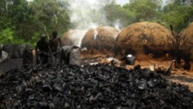 Photo of MPPA move ação na justiça contra fornos de carvão ilegal em Marituba
