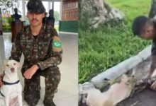 Photo of Após resgatar cadela atacada por sucuri no Pará, sargento do Exército adota o animal