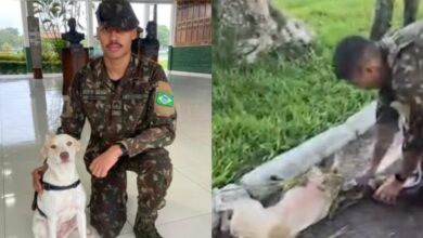 Photo of Após resgatar cadela atacada por sucuri no Pará, sargento do Exército adota o animal