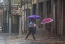 Photo of Previsão do tempo aponta calor e pancadas de chuva à tarde em Belém