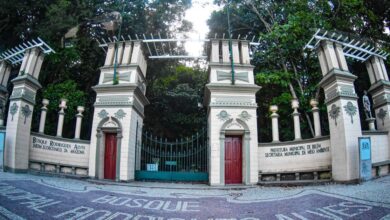 Photo of Bosque Rodrigues Alves terá entrada gratuita neste fim de semana em Belém