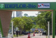 Photo of Ideflor-Bio abre processo seletivo com 14 vagas no Pará; inscrições gratuitas nos dias 25 e 26