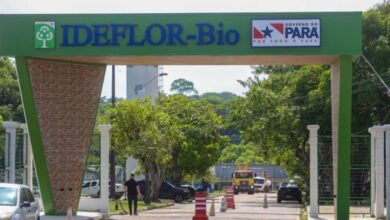 Photo of Ideflor-Bio abre processo seletivo com 14 vagas no Pará; inscrições gratuitas nos dias 25 e 26