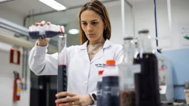 Photo of Açaí na infância e adolescência pode proteger contra ansiedade e depressão, aponta estudo da UFPA