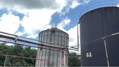 Photo of Cidade do interior do Pará enfrenta crise após paralisação de empresa de dendê