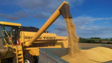 Photo of Caminhões enfrentam fila de 7 km para descarregar soja em Miritituba, no Pará