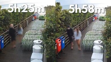 Photo of Polícia conclui investigação do caso dos cães Orelha e Caramelo e encaminha ao MP de SC