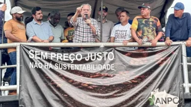 Photo of Preço do cacau despenca até 75% e produtores do Pará e da Bahia pedem restrição às importações