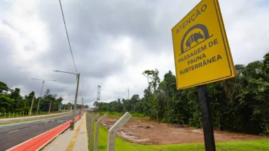 Photo of RUA DA MARINHA: Belém ganha primeira via urbana da Amazônia com passagem de fauna