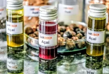 Photo of Bioeconomia movimenta R$ 13,5 bilhões e fortalece economia da floresta no Pará