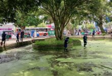 Photo of Praça Dom Pedro II passa a ter limpeza diária e manutenção reforçada em Belém
