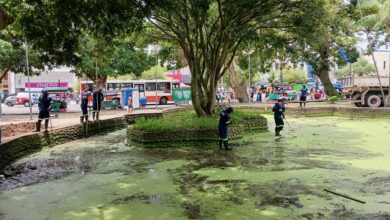 Photo of Praça Dom Pedro II passa a ter limpeza diária e manutenção reforçada em Belém