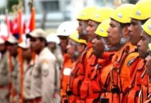 Photo of Governo do Pará abre 112 vagas para brigadistas florestais com salário de até R$ 3 mil