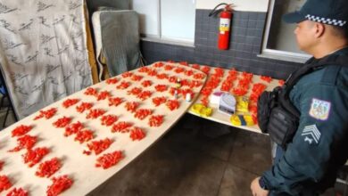 Photo of Operação policial apreende 930 papelotes de drogas em área de mata no distrito de Icoaraci, em Belém