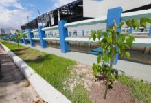 Photo of Após virar lixão, Canal da Quintino renasce com arborização e área de lazer em Belém