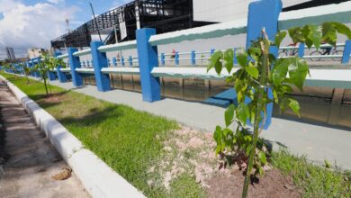Photo of Após virar lixão, Canal da Quintino renasce com arborização e área de lazer em Belém