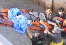 Photo of Morre boto-cor-de-rosa resgatado de canal em Belém