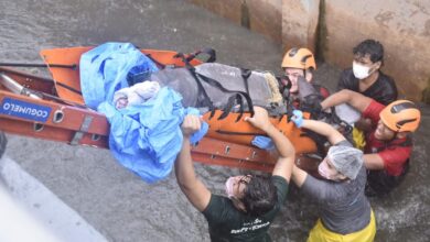 Photo of Morre boto-cor-de-rosa resgatado de canal em Belém