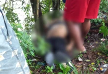 Photo of Corpo com marcas de tiros é encontrado na Beira-Mar de Outeiro, em Belém