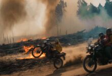 Photo of Filme com Alice Braga imagina Brasil pós-golpe e Amazônia sob controle dos EUA