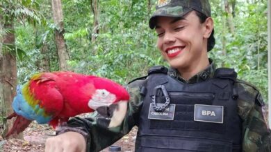 Photo of Autoridades orientam população sobre como agir ao encontrar animais silvestres em áreas urbanas