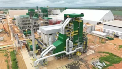 Photo of Indústria da Juparanã recebe licença e avança na produção de soja em Paragominas