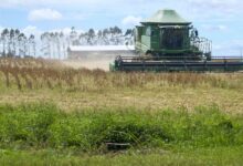 Photo of PIB do Pará cresce acima da média nacional no quarto trimestre de 2025