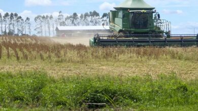 Photo of PIB do Pará cresce acima da média nacional no quarto trimestre de 2025
