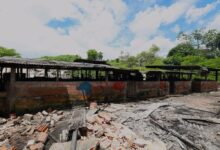 Photo of Chiqueiro para criação de porcos é encontrado dentro do Canal Mata Fome, em Belém