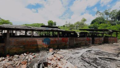 Photo of Chiqueiro para criação de porcos é encontrado dentro do Canal Mata Fome, em Belém