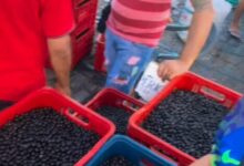 Photo of Açaí da Bahia começa a ser vendido em feira tradicional de Belém e acende alerta no setor