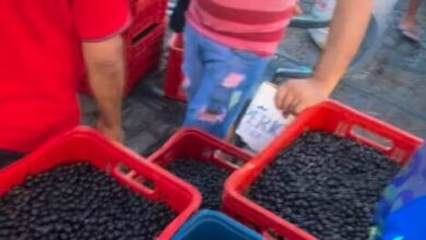 Photo of Açaí da Bahia começa a ser vendido em feira tradicional de Belém e acende alerta no setor