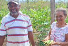 Photo of Inclusão produtiva: projetos da Suzano retiram mais de 140 mil pessoas da pobreza no Brasil