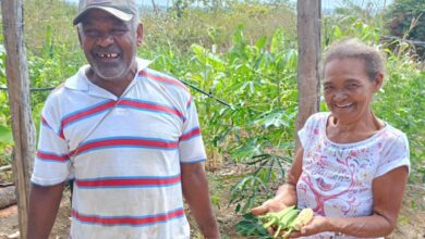 Photo of Inclusão produtiva: projetos da Suzano retiram mais de 140 mil pessoas da pobreza no Brasil