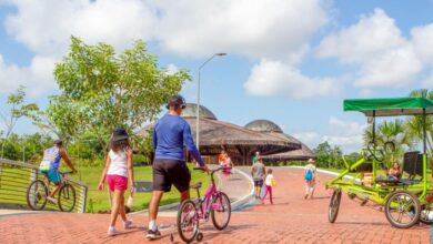 Photo of Parque do Utinga registra 590 mil visitantes e está entre os mais frequentados do Brasil