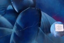 Photo of Muro do Museu Goeldi apresenta risco de queda e área é interditada em Belém