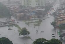 Photo of Previsão do tempo no Pará: fim de semana terá pancadas de chuva e atenção para marés em Belém