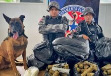Photo of Mais de 80 kg de skunk são apreendidos em embarcação no Marajó durante fiscalização fluvial