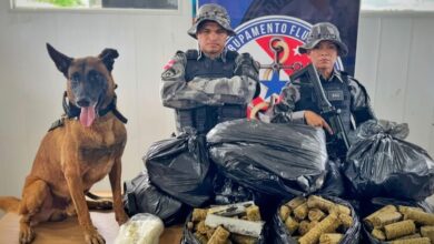 Photo of Mais de 80 kg de skunk são apreendidos em embarcação no Marajó durante fiscalização fluvial
