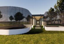 Photo of Pará anuncia construção de Cetras na Ufra para atendimento de animais silvestres