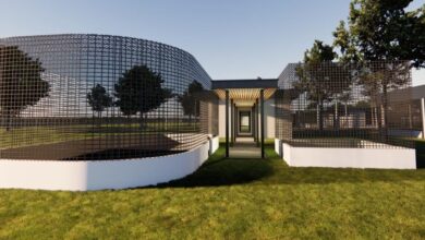 Photo of Pará anuncia construção de Cetras na Ufra para atendimento de animais silvestres