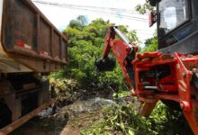 Photo of “Canal virou lixão”: mais de 120 caçambas de entulho já foram retiradas do Mata Fome em Belém