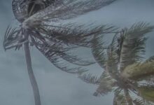 Photo of Belém entra em alerta laranja com risco de chuvas intensas e ventos de até 100 km/h