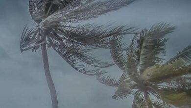 Photo of Belém entra em alerta laranja com risco de chuvas intensas e ventos de até 100 km/h